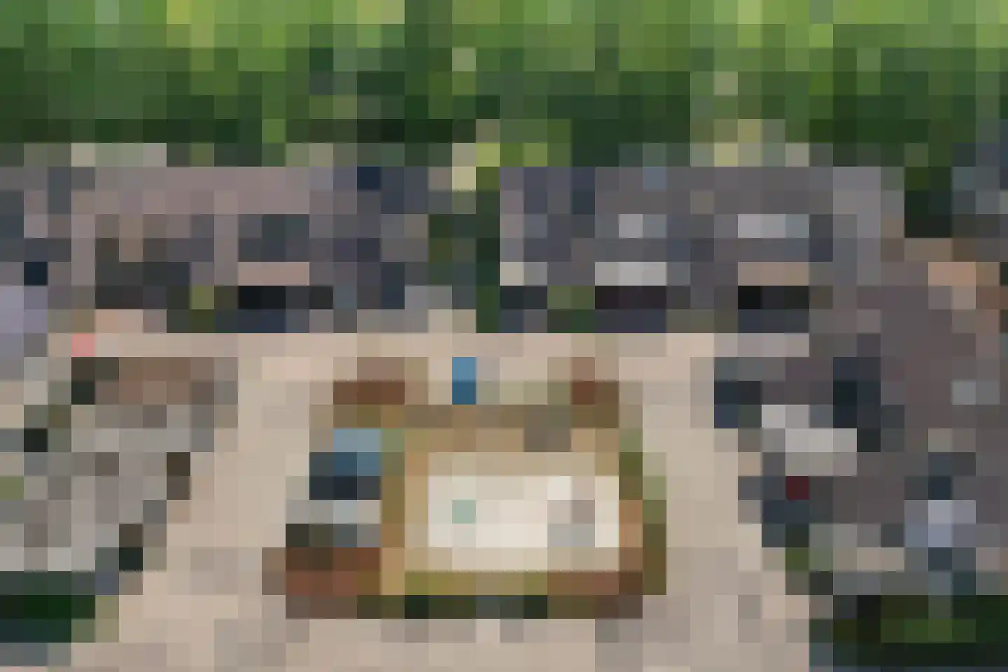 Kokkelmanlanden 72 Enschede thumbnail 35
