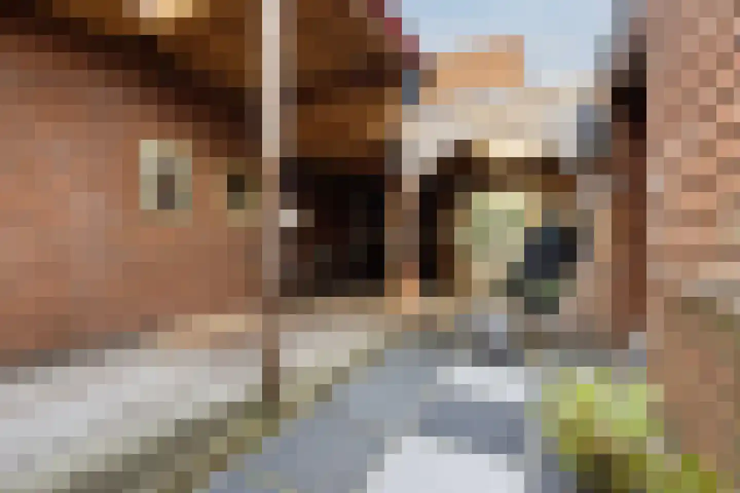 Kokkelsingel 1 Den Haag thumbnail 5