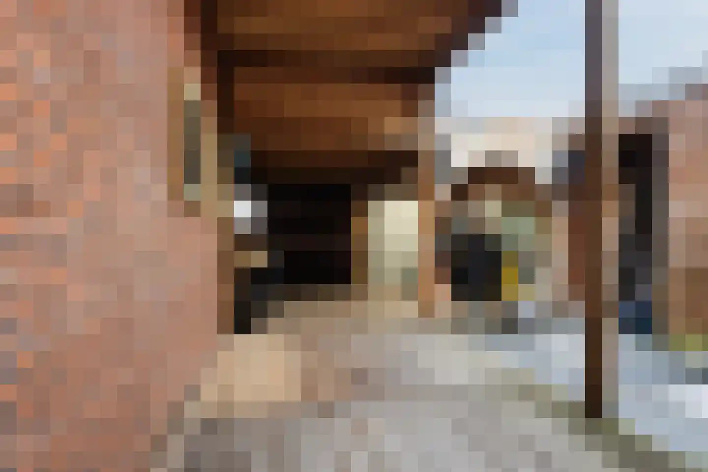 Kokkelsingel 1 Den Haag thumbnail 6