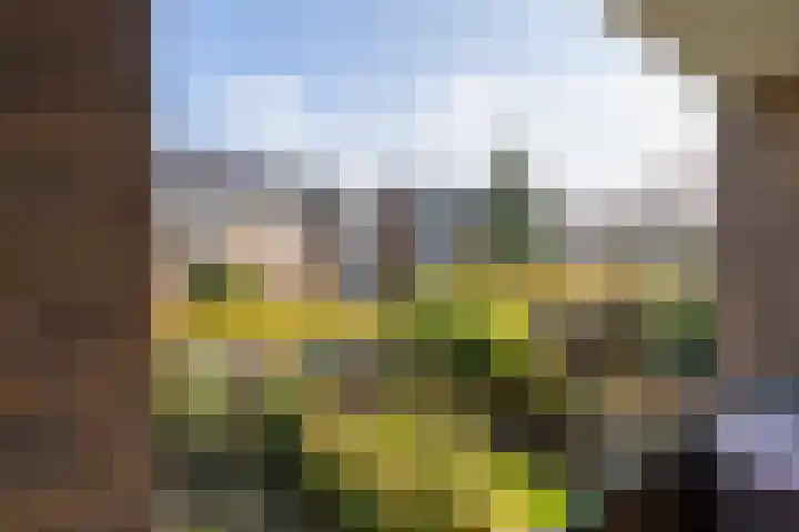 Kokkenhoflaan 15 BS Utrecht thumbnail 25