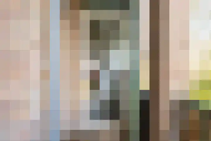 Kokkenhoflaan 15 BS Utrecht thumbnail 26