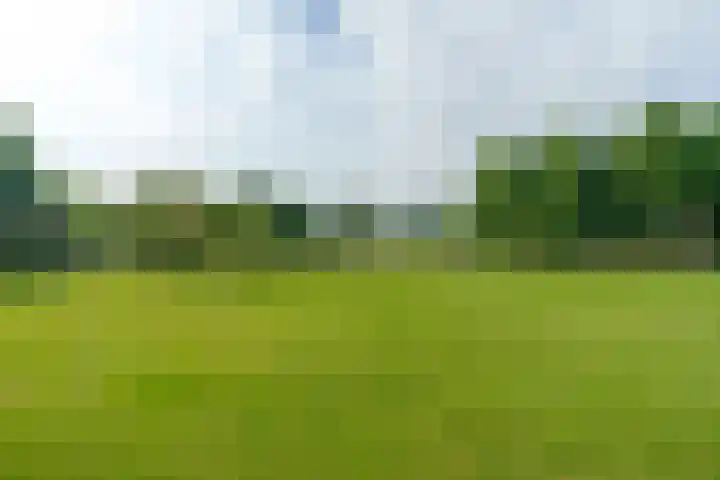 Kokkenhoflaan 15 BS Utrecht thumbnail 36