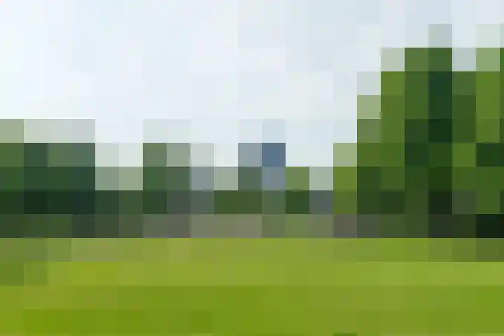 Kokkenhoflaan 15 BS Utrecht thumbnail 37