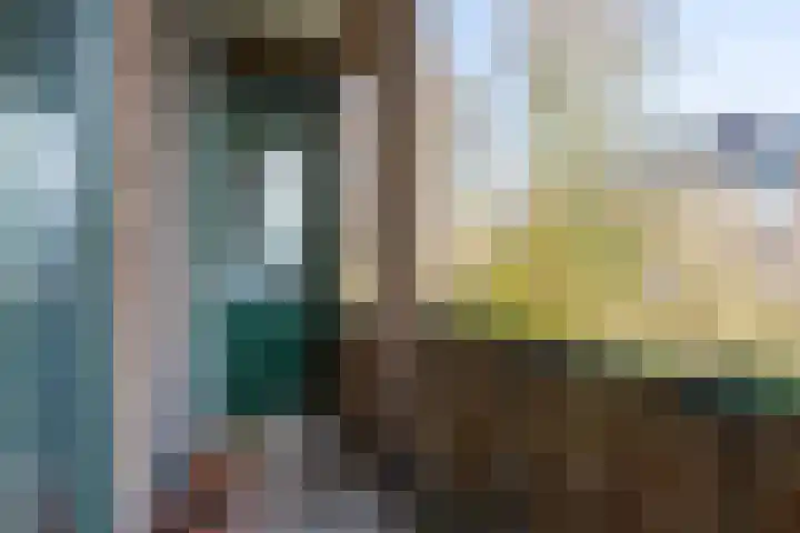 Kokkenhoflaan 15 BS Utrecht thumbnail 4