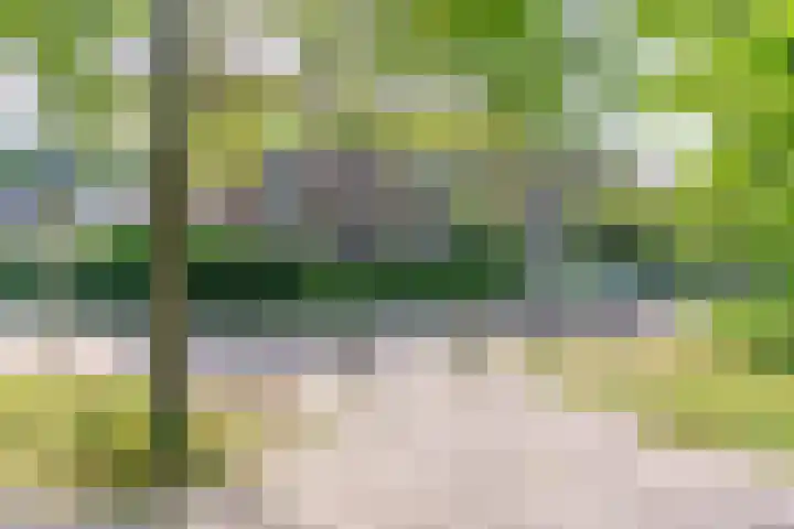 Kokkenhoflaan 15 BS Utrecht thumbnail 5