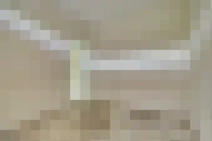 Kokkenhoflaan 16 BS Utrecht thumbnail 7