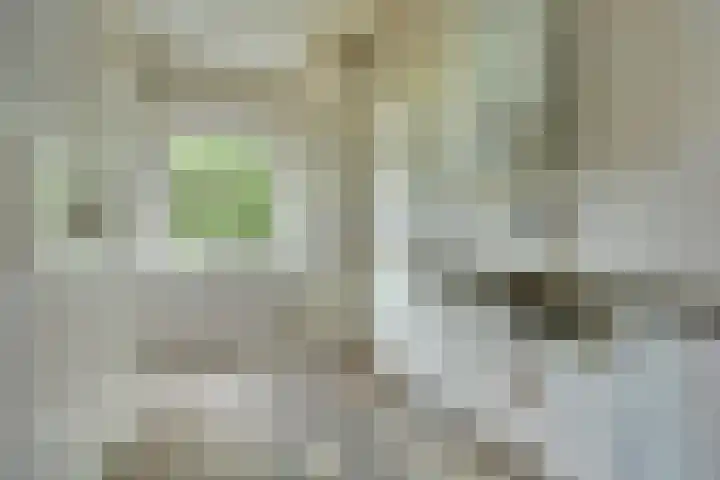 Kokkenhoflaan 16 BS Utrecht thumbnail 8