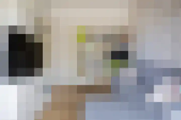 Kokkenhoflaan 2 Utrecht thumbnail 11