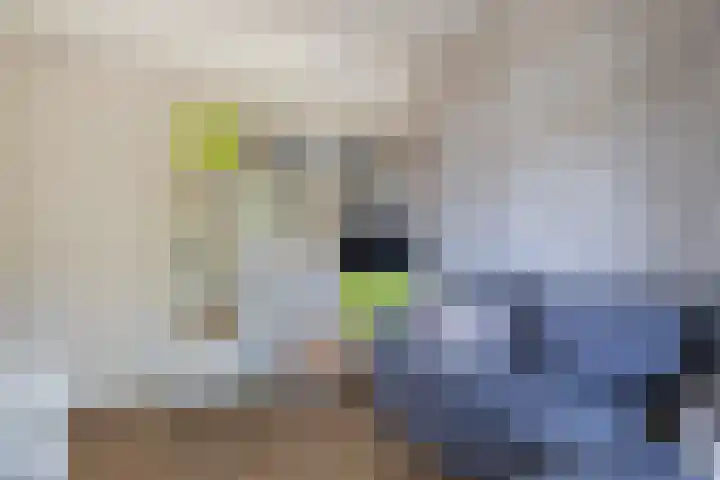 Kokkenhoflaan 2 Utrecht thumbnail 12