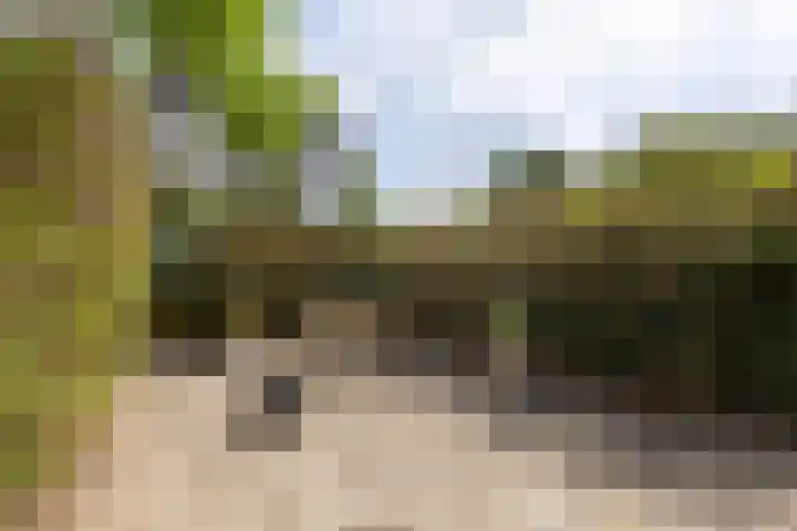 Kokkenhoflaan 2 Utrecht thumbnail 14