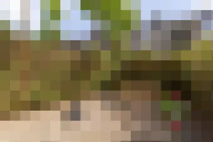 Kokkenhoflaan 2 Utrecht thumbnail 15