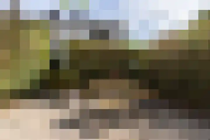 Kokkenhoflaan 2 Utrecht thumbnail 16