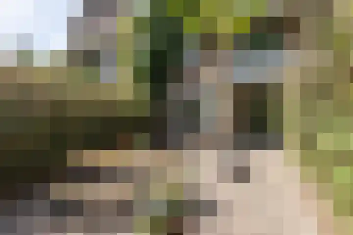 Kokkenhoflaan 2 Utrecht thumbnail 18