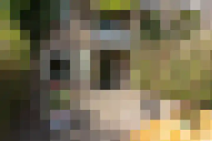 Kokkenhoflaan 2 Utrecht thumbnail 19
