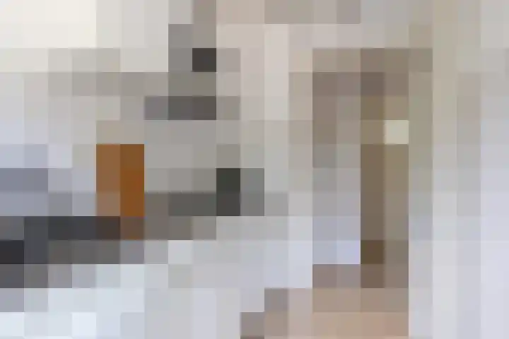 Kokkenhoflaan 2 Utrecht thumbnail 23