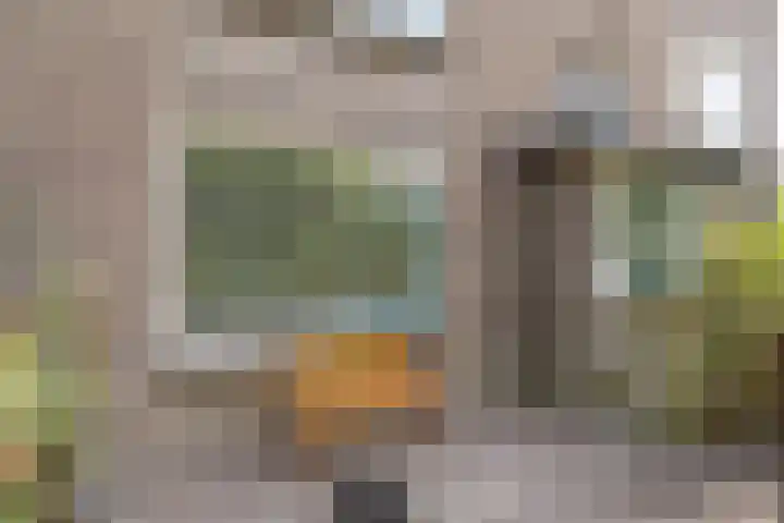 Kokkenhoflaan 2 Utrecht thumbnail 28