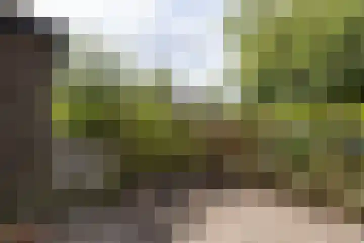 Kokkenhoflaan 2 Utrecht thumbnail 30
