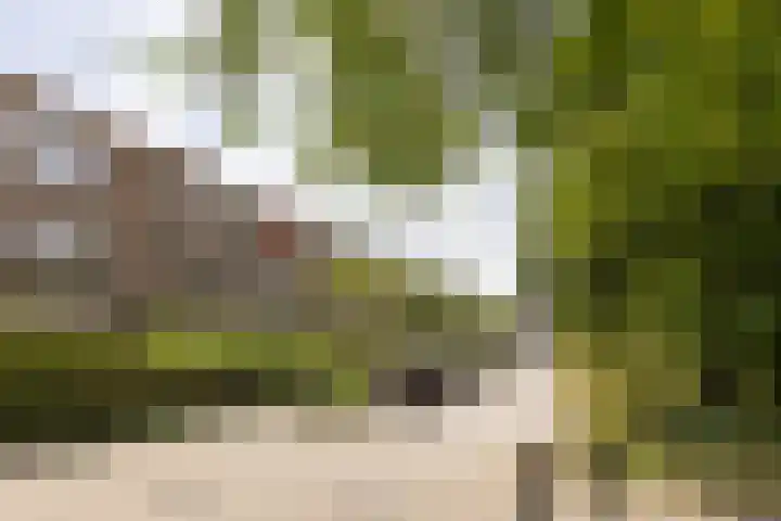 Kokkenhoflaan 2 Utrecht thumbnail 32