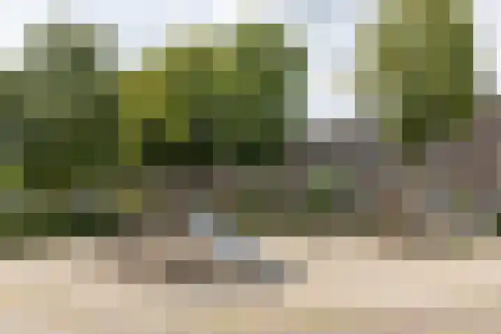 Kokkenhoflaan 2 Utrecht thumbnail 33