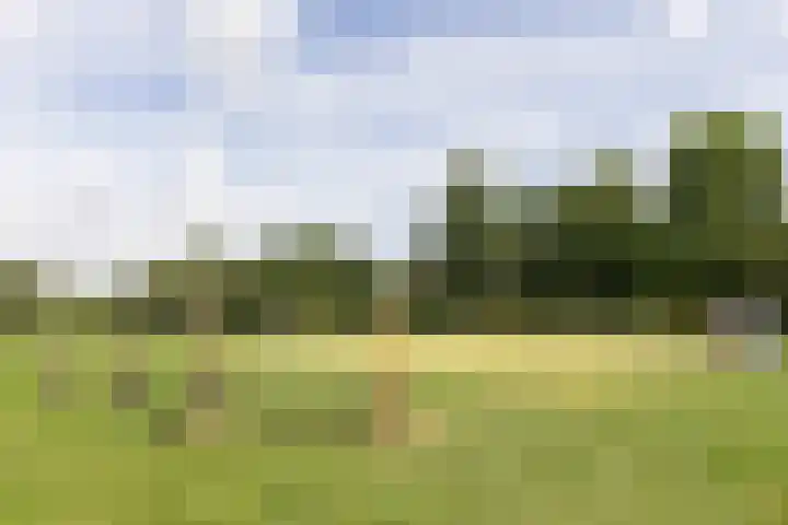 Kokkenhoflaan 2 Utrecht thumbnail 34