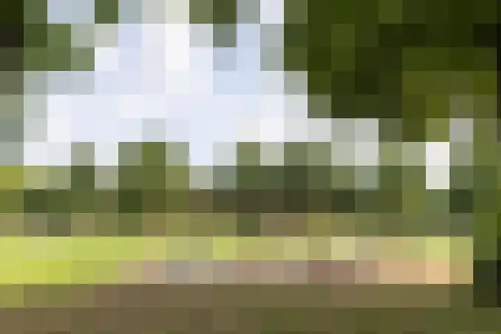 Kokkenhoflaan 2 Utrecht thumbnail 35