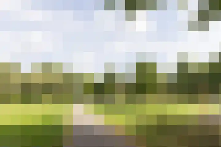 Kokkenhoflaan 2 Utrecht thumbnail 36