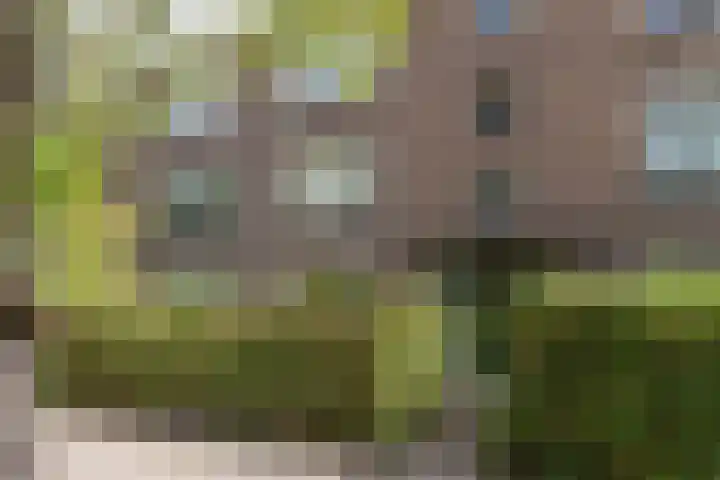 Kokkenhoflaan 2 Utrecht thumbnail 6