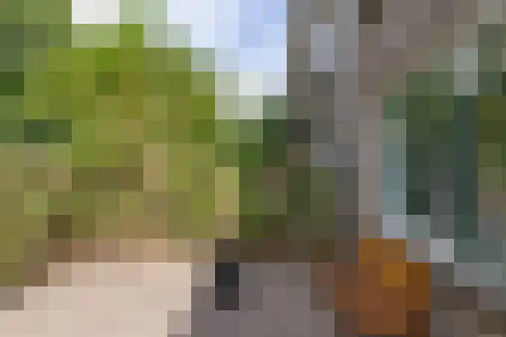 Kokkenhoflaan 2 Utrecht thumbnail 7