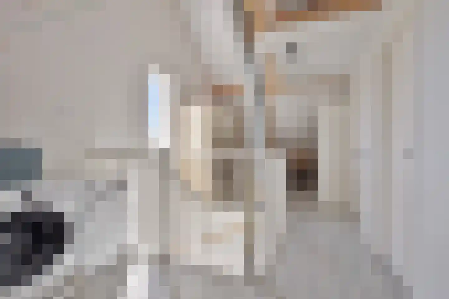 Kokkerije 29 de Wijk thumbnail 34