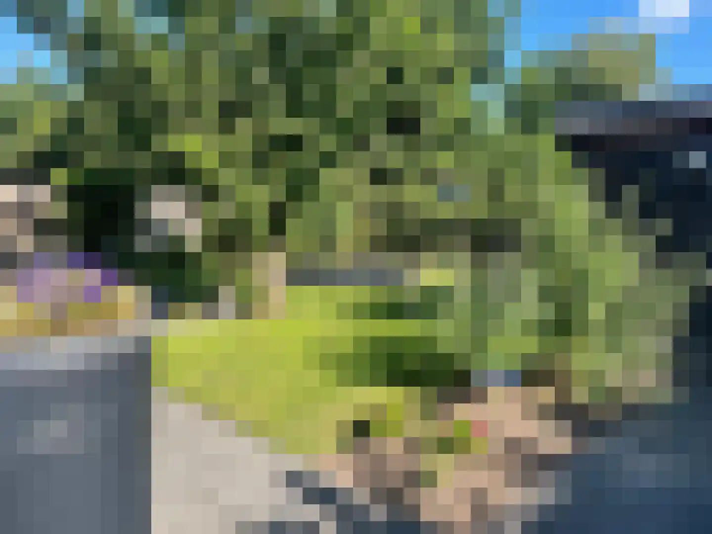 Kokkerije 29 de Wijk thumbnail 41