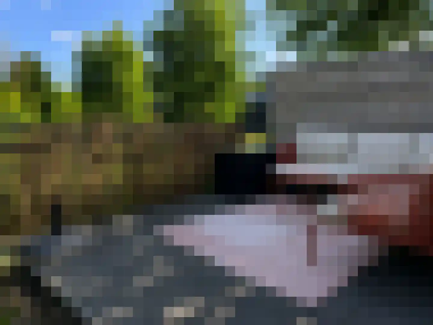 Kokkerije 29 de Wijk thumbnail 42