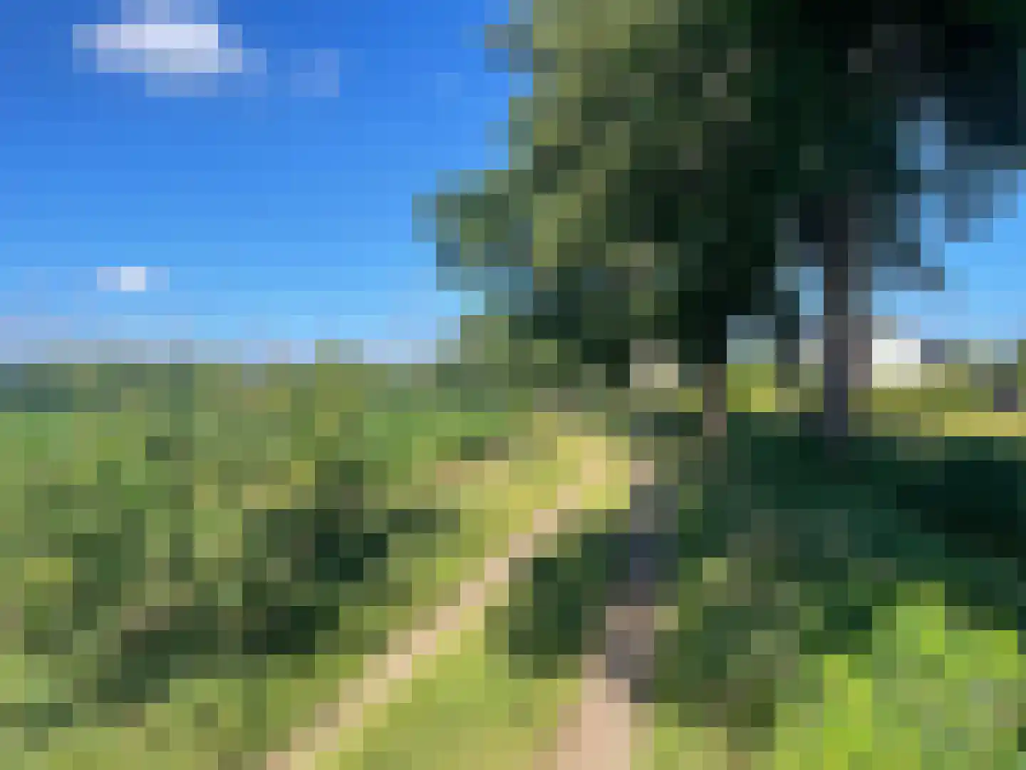 Kokkerije 29 de Wijk thumbnail 50