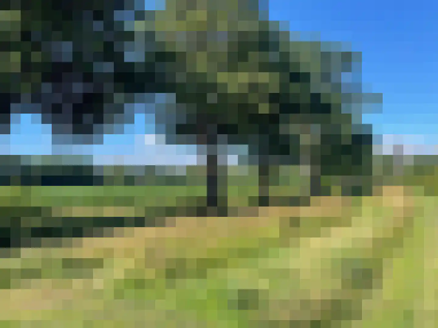 Kokkerije 29 de Wijk thumbnail 51