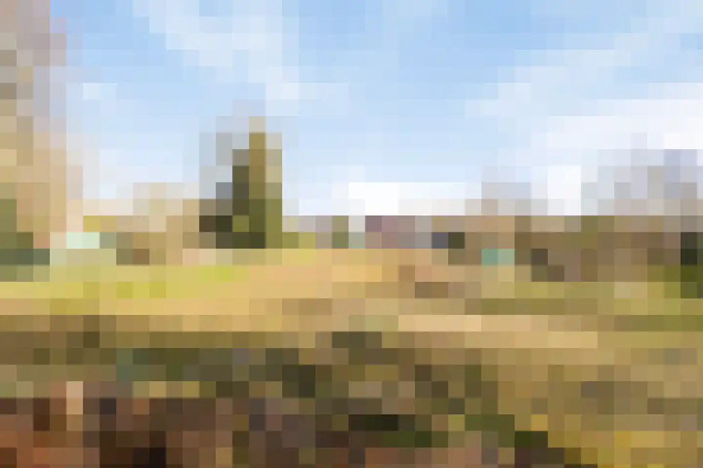 Kokkerije 29 de Wijk thumbnail 53