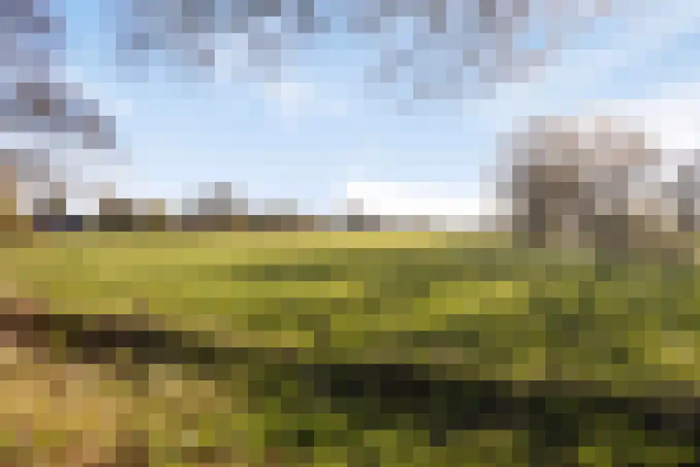 Kokkerije 29 de Wijk thumbnail 54