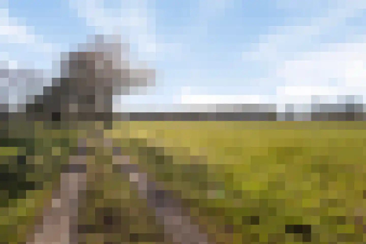 Kokkerije 29 de Wijk thumbnail 56