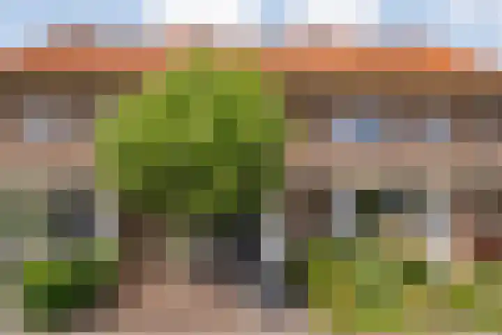 Kokkerije 3 de Wijk