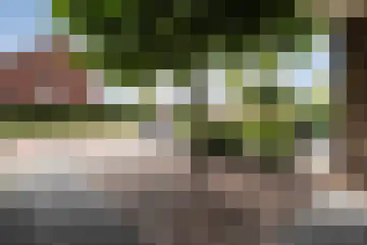 Kokkerije 3 de Wijk thumbnail 10