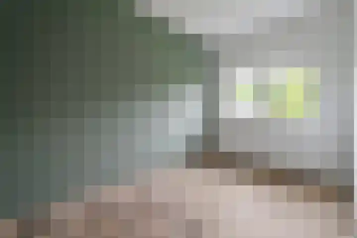 Kokkerije 3 de Wijk thumbnail 19