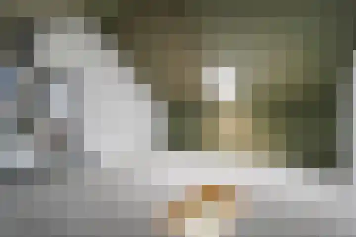 Kokkerije 3 de Wijk thumbnail 25