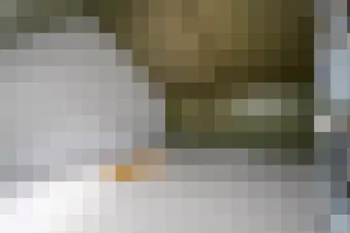 Kokkerije 3 de Wijk thumbnail 26