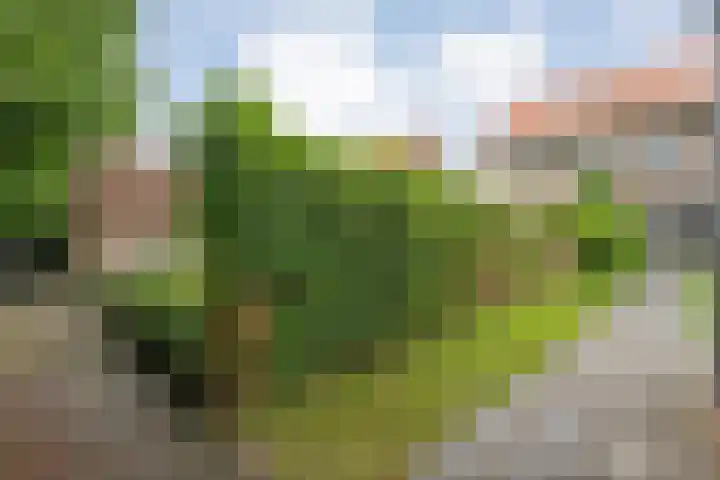 Kokkerije 3 de Wijk thumbnail 29