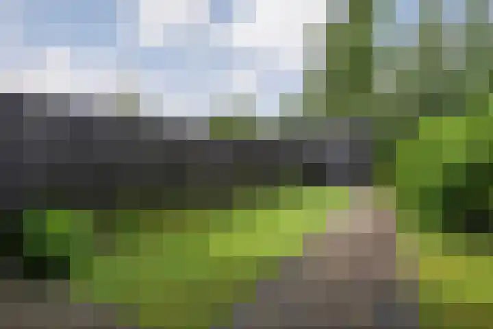 Kokkerije 3 de Wijk thumbnail 30