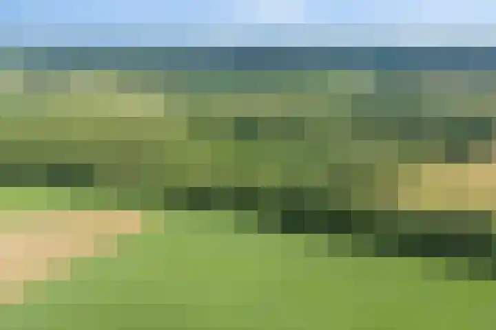 Kokkerije 3 de Wijk thumbnail 33