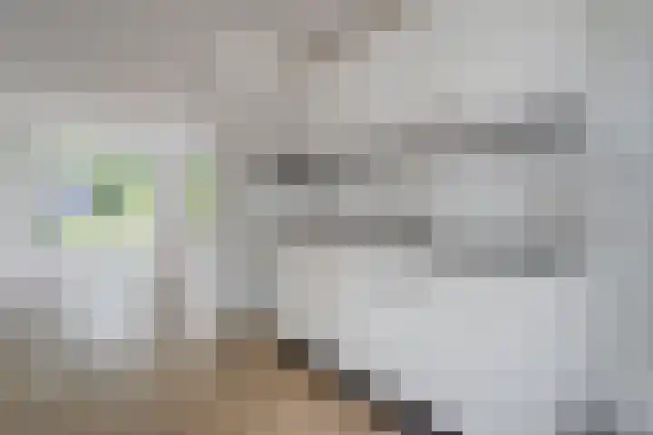 Kokkerije 3 de Wijk thumbnail 4