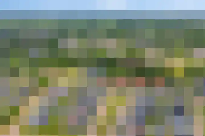 Kokkerije 3 de Wijk thumbnail 5