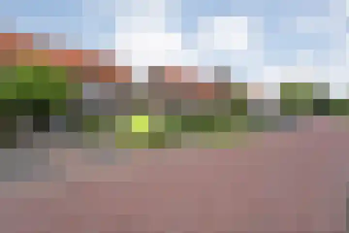 Kokkerije 3 de Wijk thumbnail 8