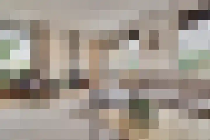 Kokkerije 6 de Wijk thumbnail 11
