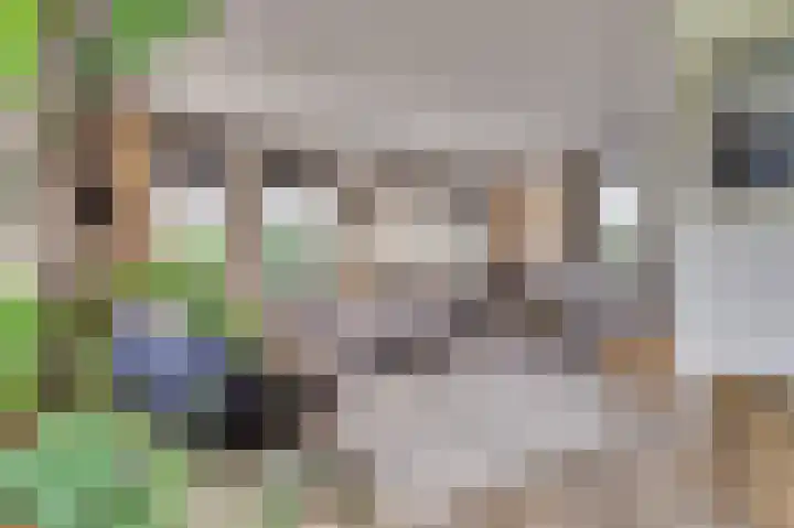 Kokkerije 6 de Wijk thumbnail 13