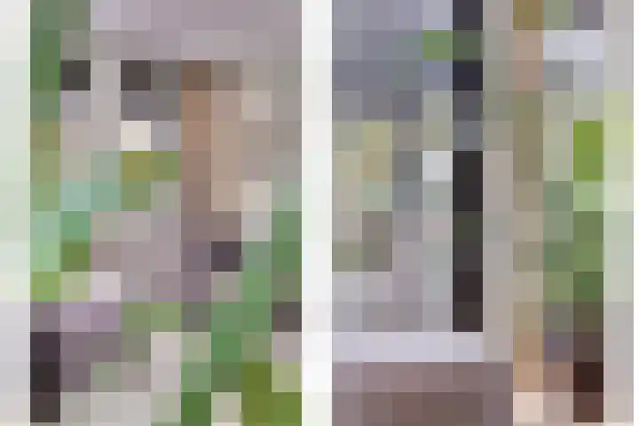Kokkerije 6 de Wijk thumbnail 14
